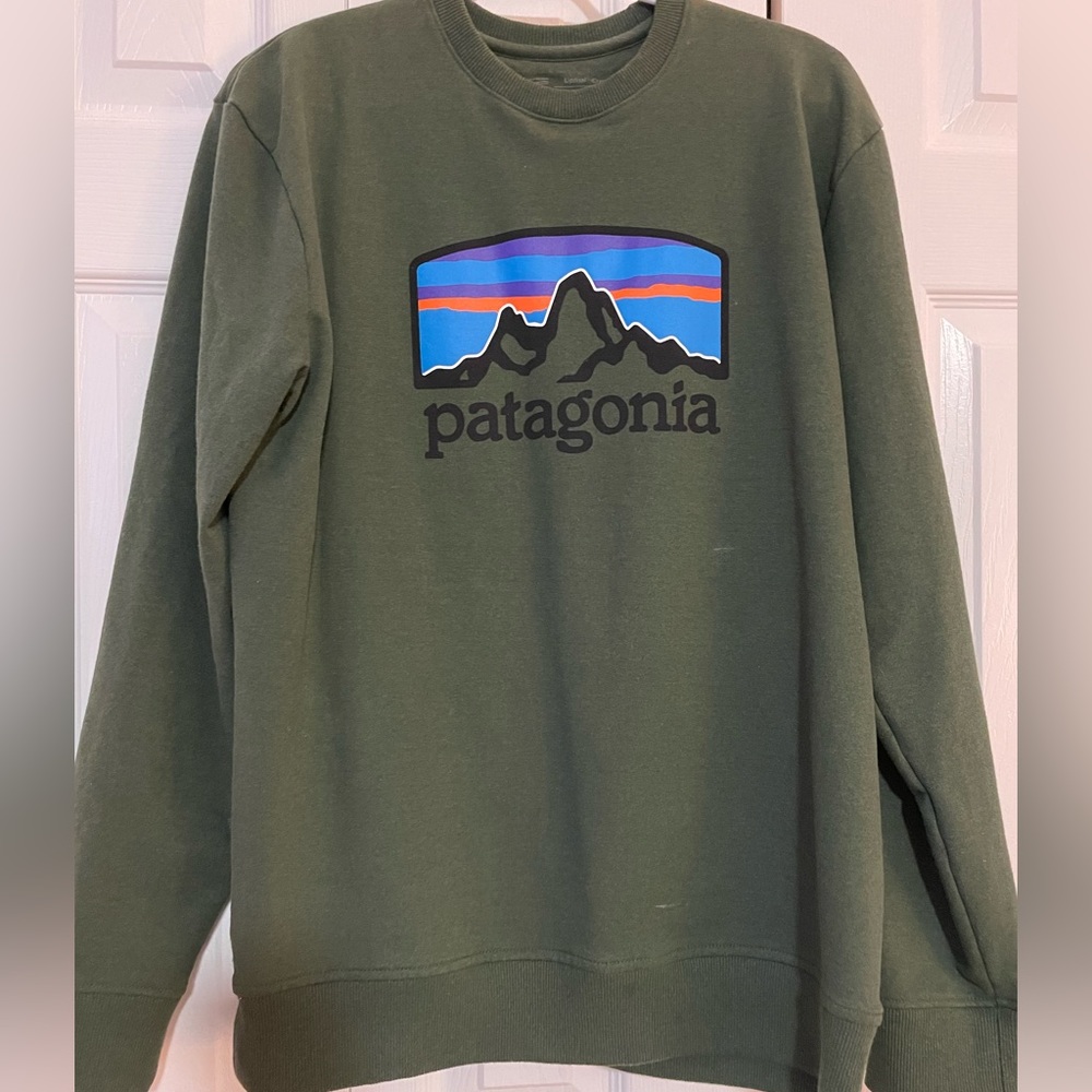 Patagonia Hoodie
